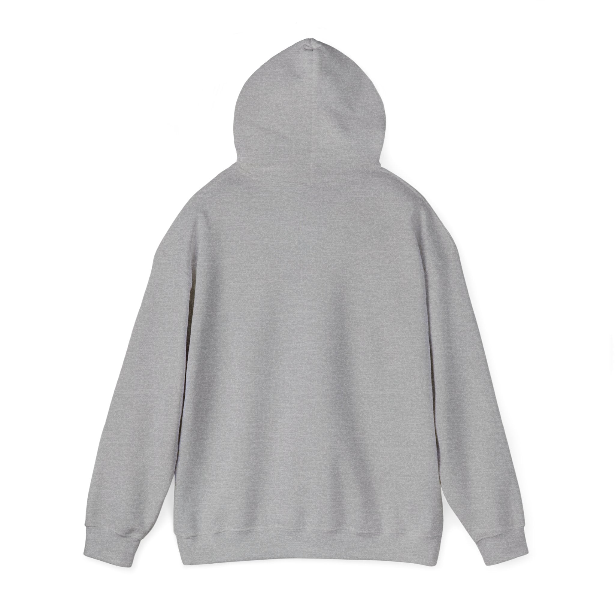 Daily Wear Hoodie — Minimalist Everyday Graphic Pullover