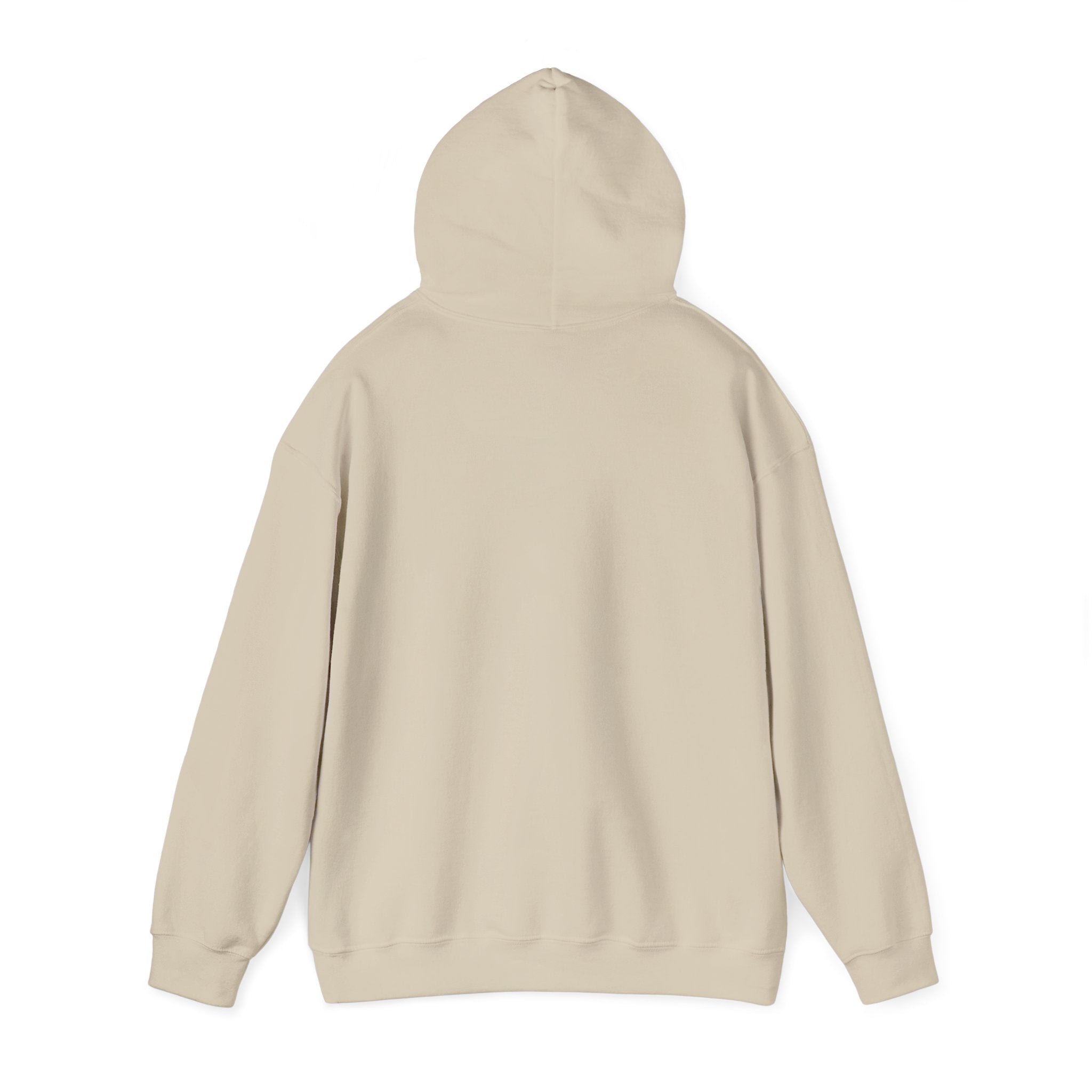 Daily Wear Hoodie — Minimalist Everyday Graphic Pullover